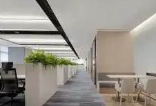 集團網(wǎng)站建設的重要性和必要性