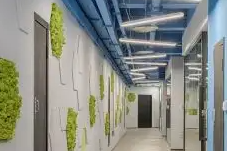 學校網(wǎng)站建設和商業(yè)網(wǎng)站建設的區(qū)別